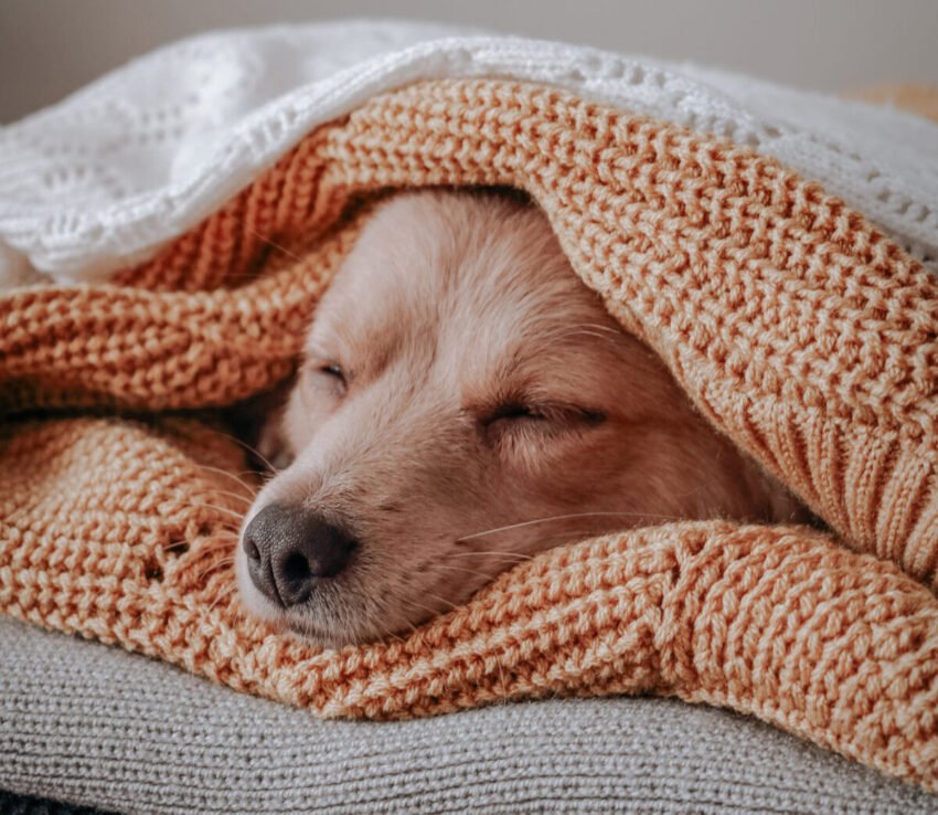 Heater Tune-Up Offer Prolonged