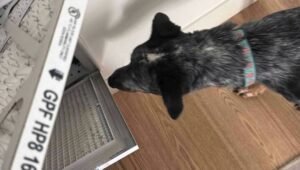 Daikin Heat Pump Installation